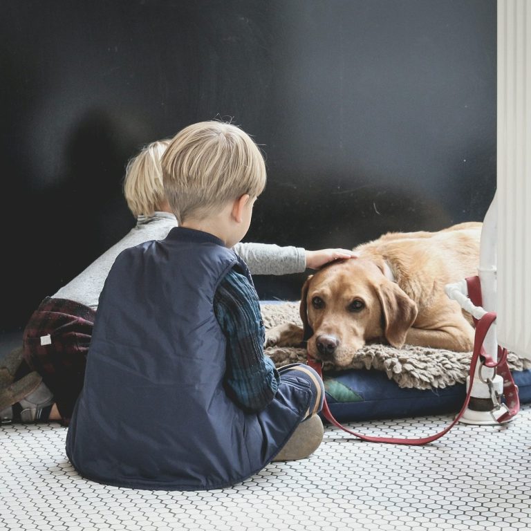 Kinder mit Hund Zwei Kinder streicheln einen Hund auf einem Hundebett vor einer dunklen Wand.